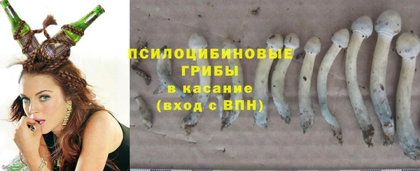 амфетамин Козловка