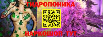 СК Берёзовский