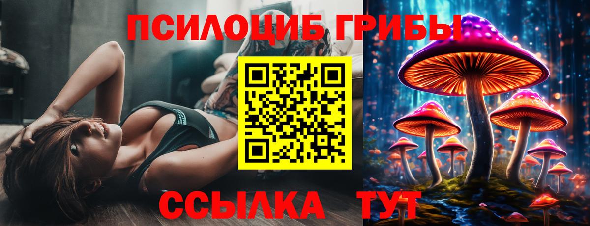 Подольск  Псилоцибиновые грибы Psilocybe  Галлюциногенные грибы GOLDEN TEACHER  Вход с VPN 