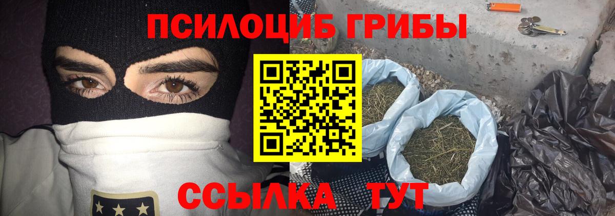 Галлюциногенные грибы GOLDEN TEACHER Подольск