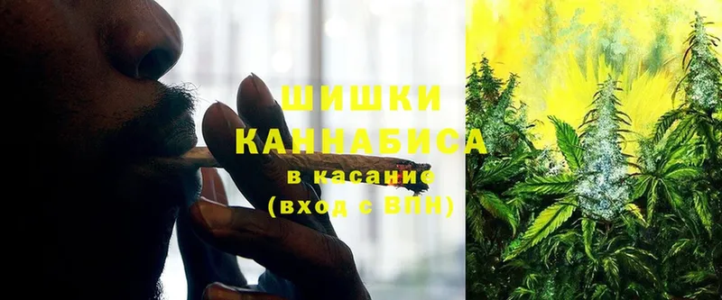 Марихуана SATIVA & INDICA  Подольск 